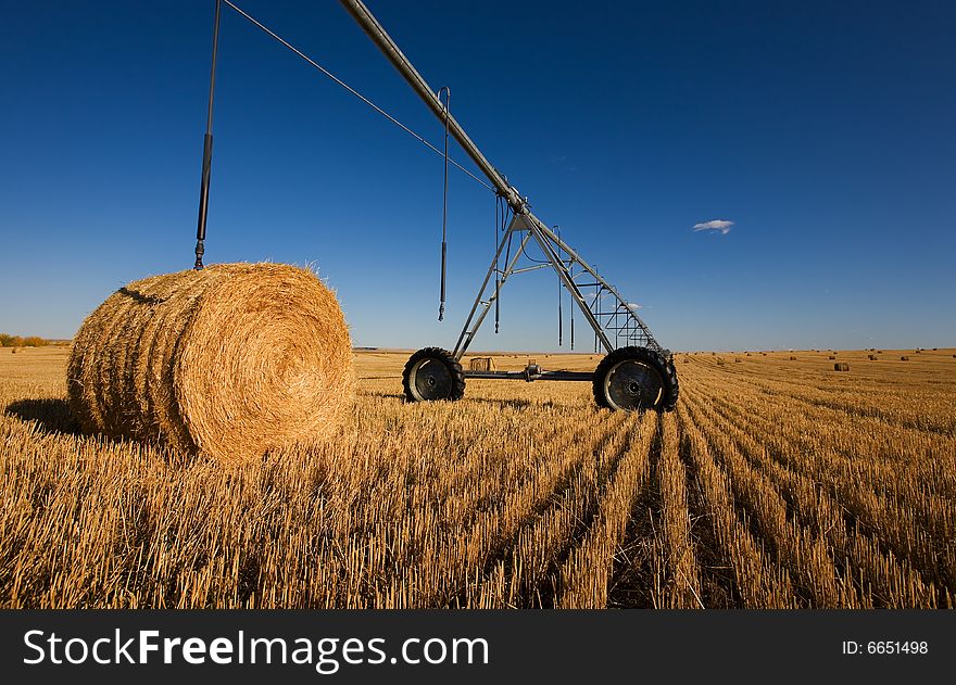 A harvested wheat field with a pivot and bales