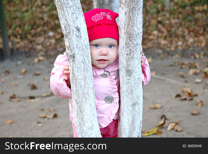 Pretty little girl stay behind tree in autumn park. Pretty little girl stay behind tree in autumn park.