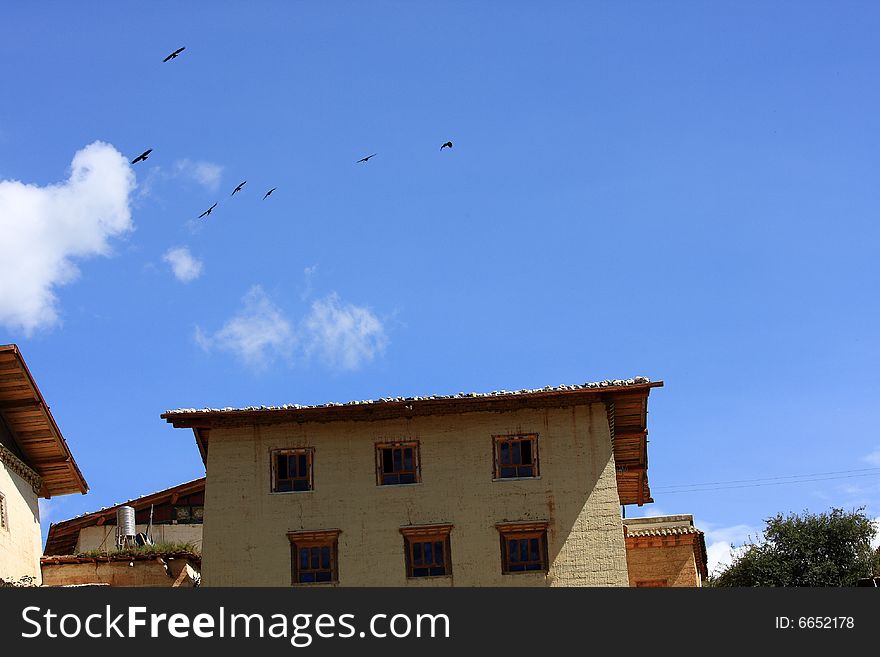 Blue sky white house bird