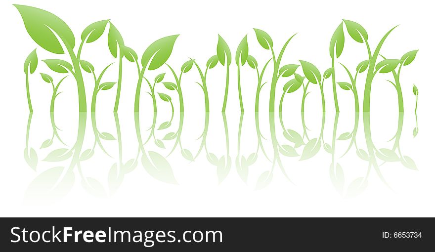 Leaves with reflection on white background, vector illustration