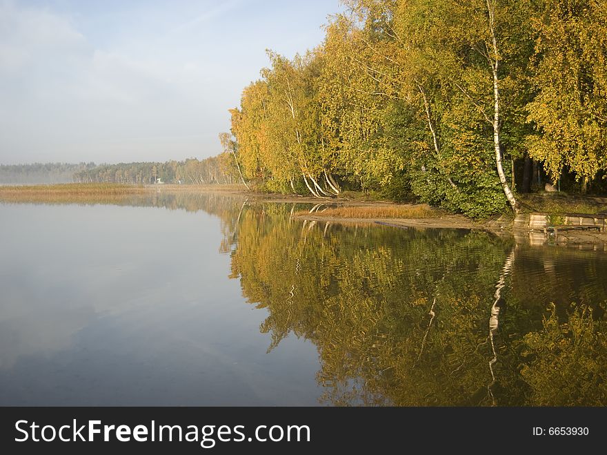 Golden Autumn, (gold On Wood)