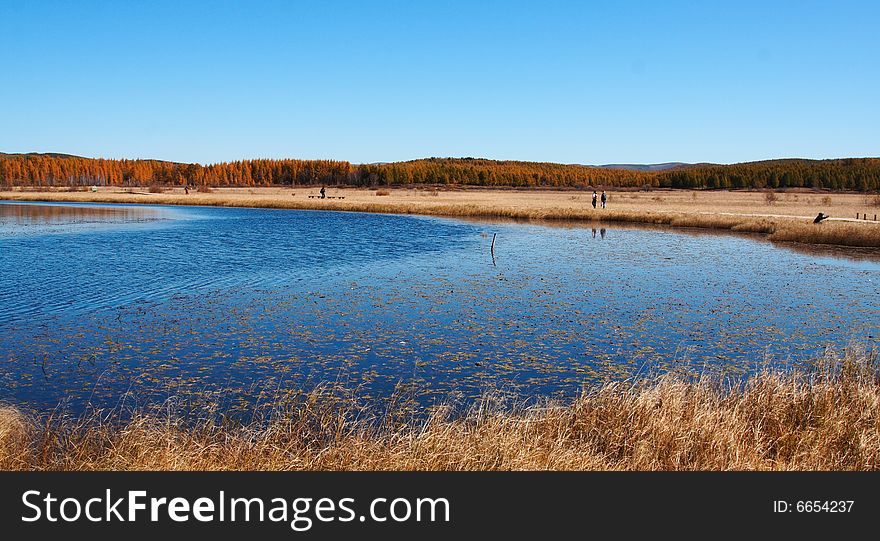 Bashang grassland in Inter-Mongolia  of China, a famous and beautiful and colourful place to visit. Bashang grassland in Inter-Mongolia  of China, a famous and beautiful and colourful place to visit