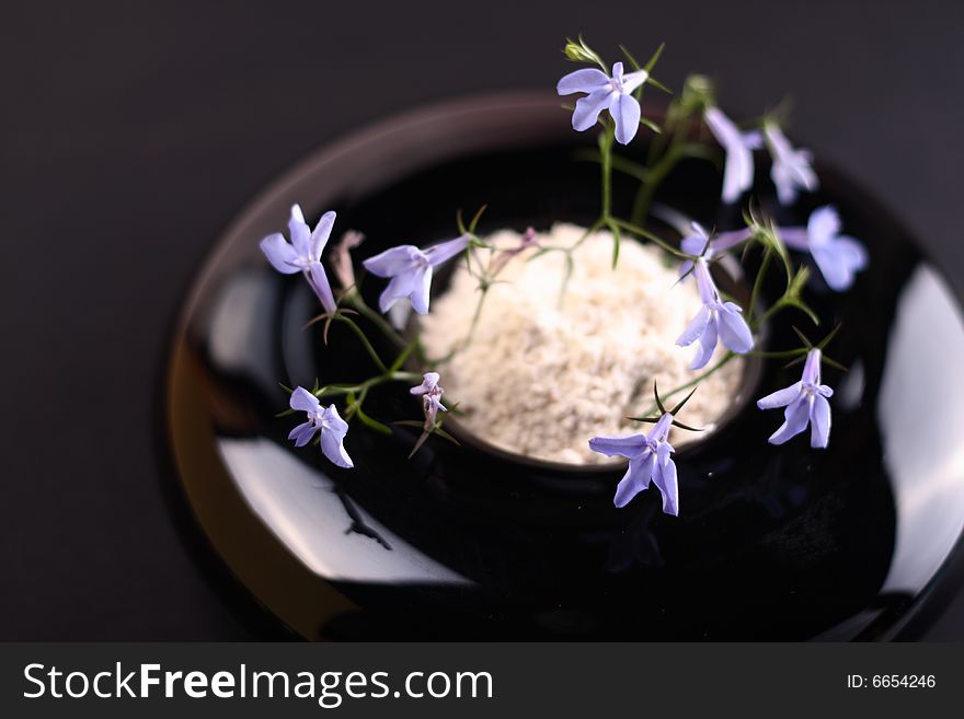 Small blue flower in a black round vase