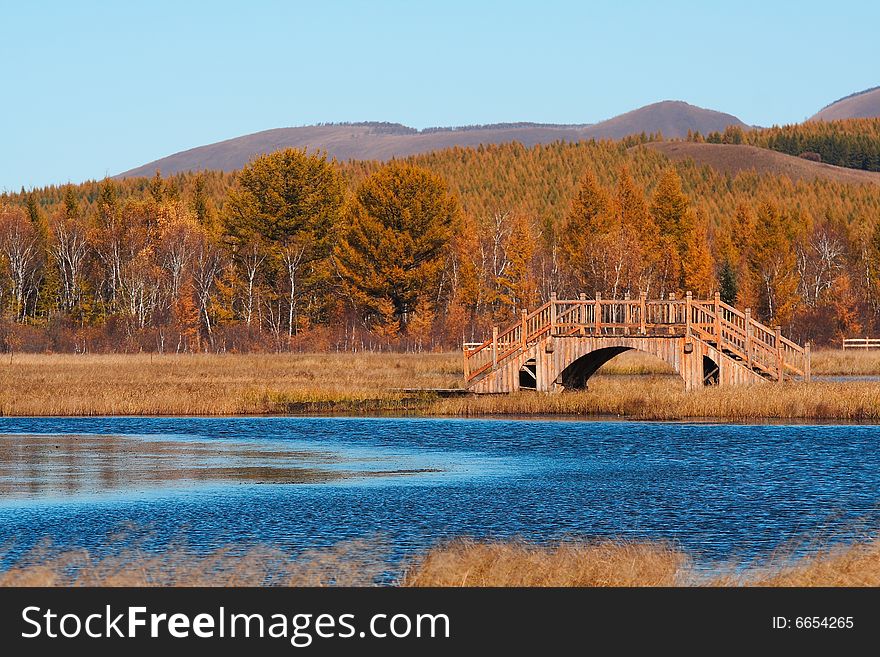 Bashang grassland in Inter-Mongolia  of China, a famous and beautiful and colourful place to visit