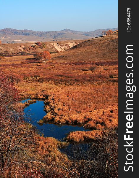 Bashang grassland in Inter-Mongolia  of China