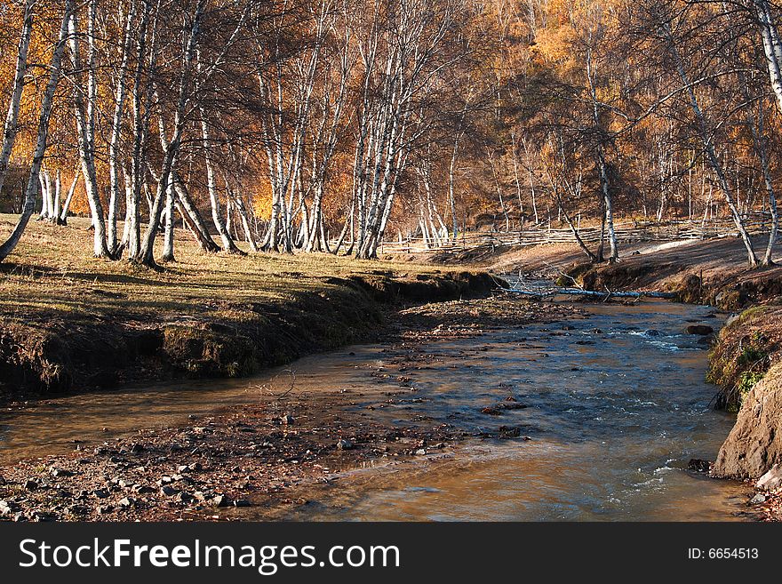 Bashang grassland in Inter-Mongolia  of China