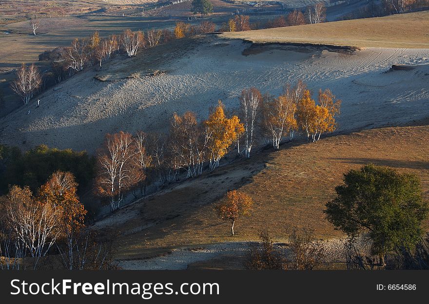 Bashang grassland in Inter-Mongolia  of China, a famous and beautiful and colourful place to visit