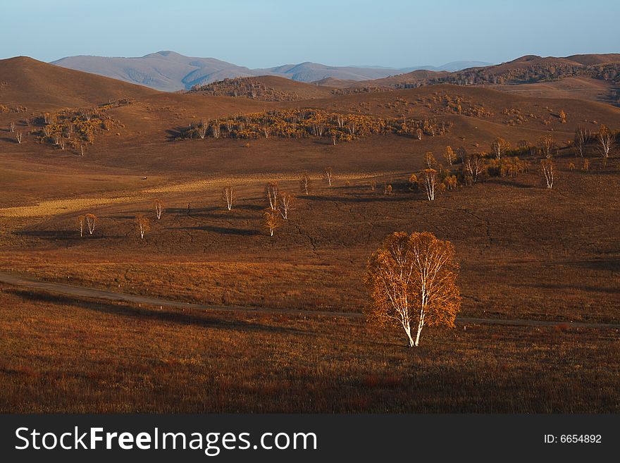 Bashang grassland in Inter-Mongolia  of China, a famous and beautiful and colourful place to visit