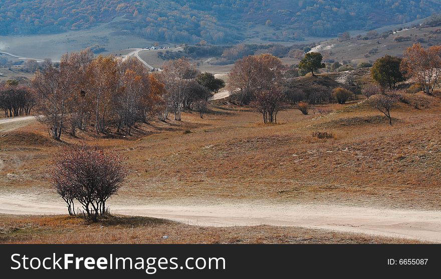 Bashang Grassland In Inter-Mongolia  Of China