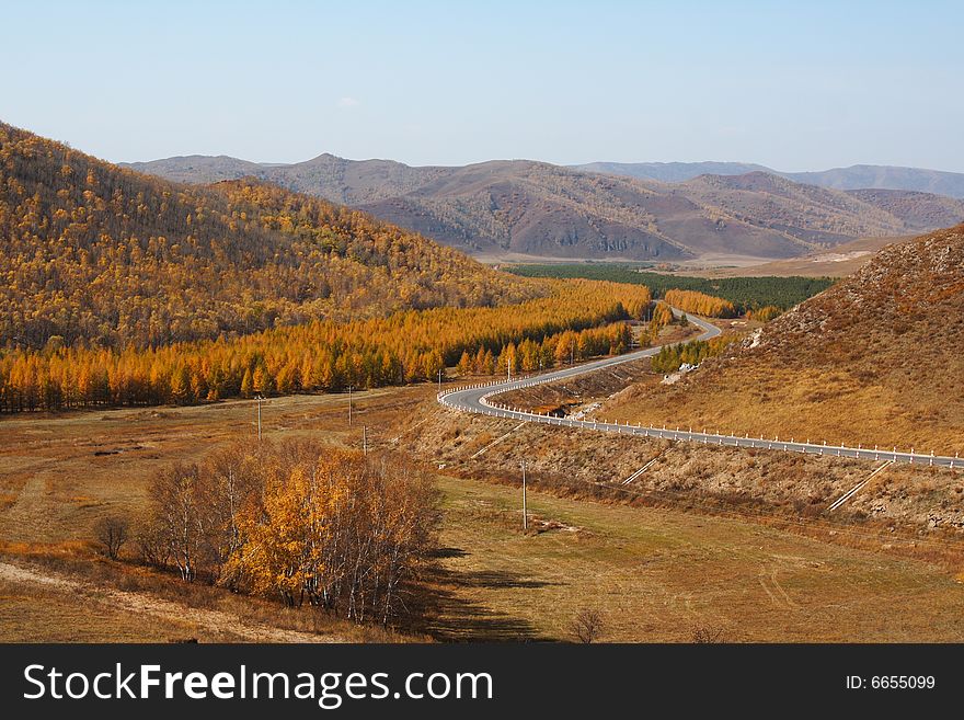 Bashang Grassland In Inter-Mongolia  Of China