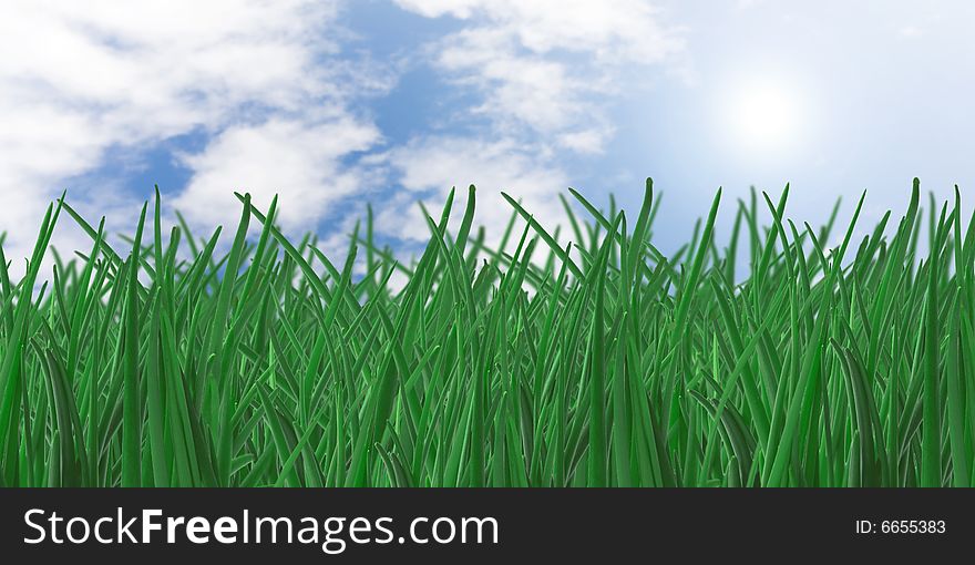Green grass and blue sky background