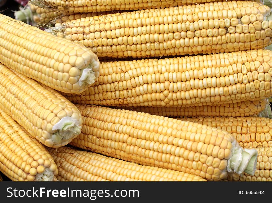 The group of yelloy indian corn as background. The group of yelloy indian corn as background