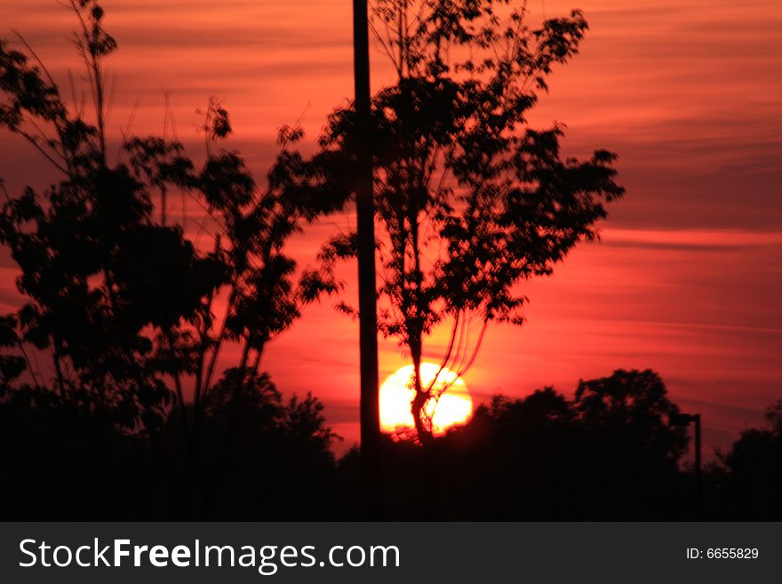 SUN SET IN THE PARK. SUN SET IN THE PARK