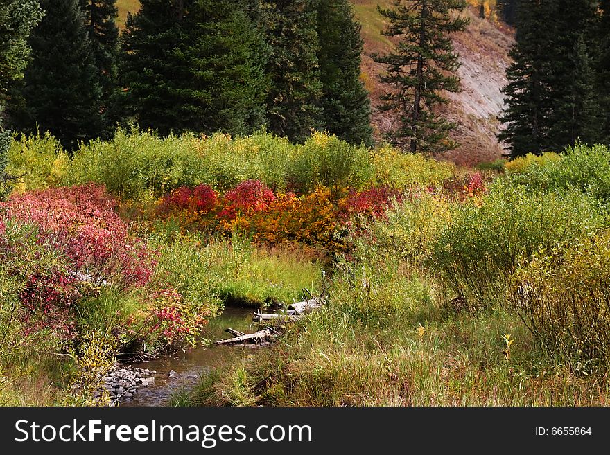 Mountain stream showing all the fall colors. Mountain stream showing all the fall colors