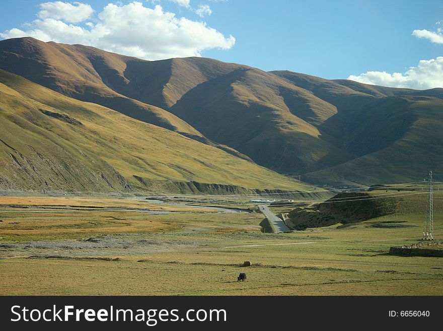China S Tibet Beauty Of The Hoh Xil No Man S Land