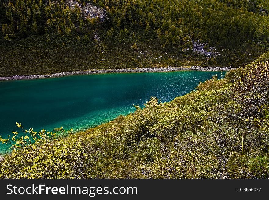 Green Lake's very beautiful, colorful shrubs unusual beauty. Green Lake's very beautiful, colorful shrubs unusual beauty