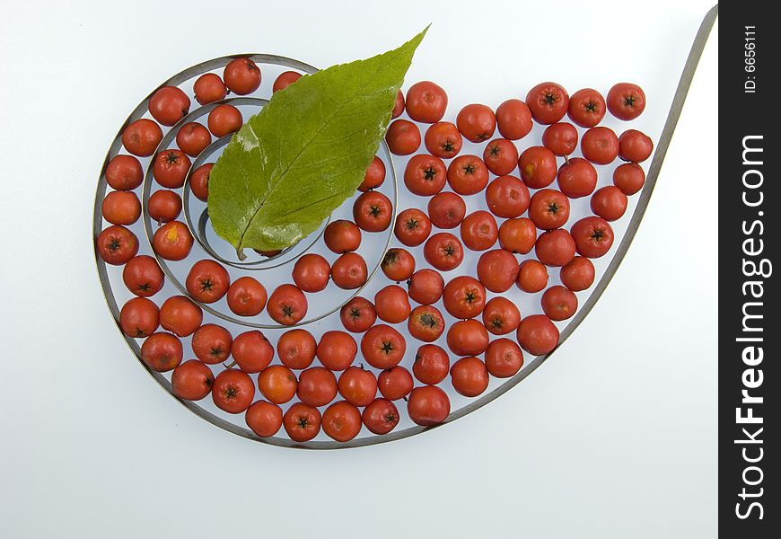 Metal Spiral And Berry Closeup Isolated