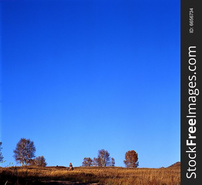 A golden autumn field,it is named bashang.