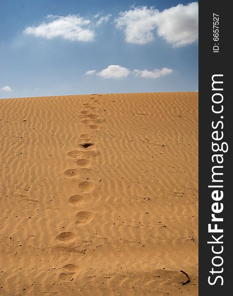 Human tracks on a sand dune