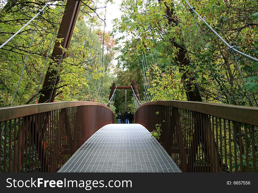 Iron bridge in the forest