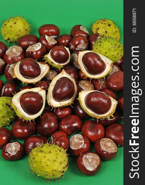 Chestnuts Series, Fall Is Coming