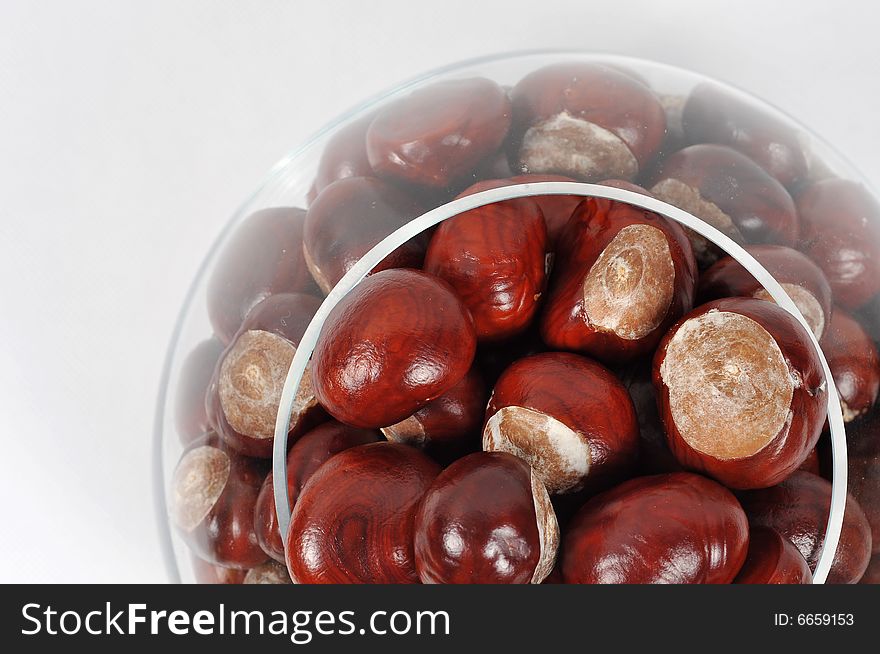 Image of a chestnuts isolated. Image of a chestnuts isolated