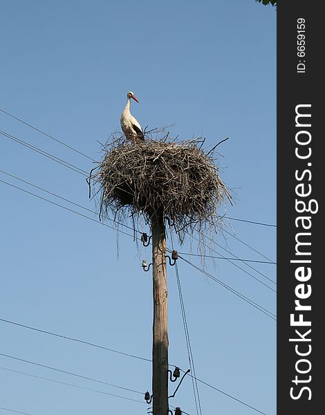 Big white stork on the nest which standing on the wood column with wiring against a blue
sky background. Big white stork on the nest which standing on the wood column with wiring against a blue
sky background.