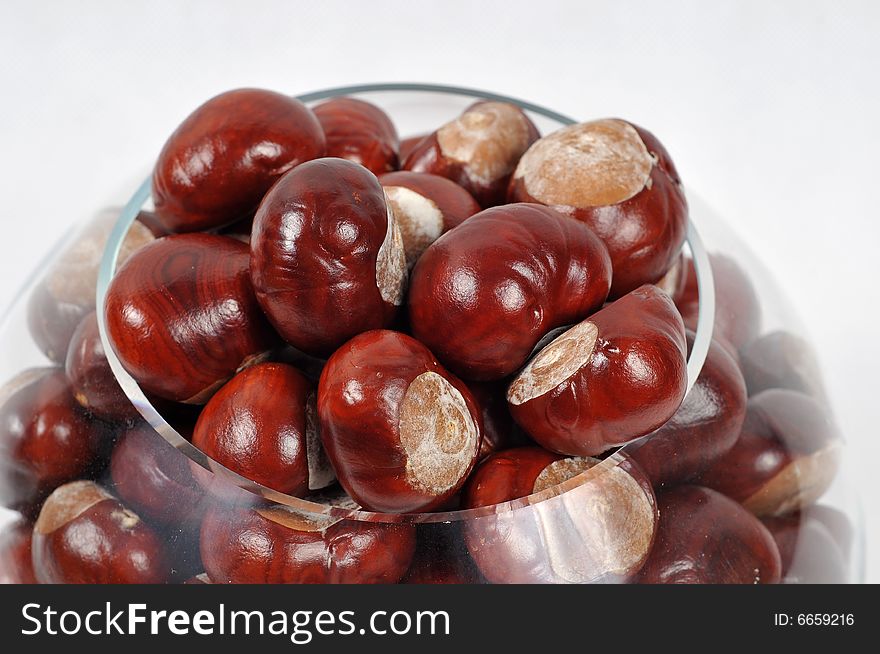 Image of a chestnuts isolated. Image of a chestnuts isolated