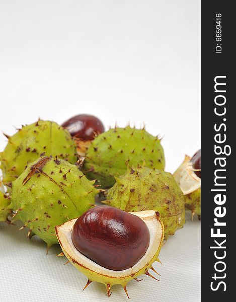 Image of a chestnuts and conkers on white background. Image of a chestnuts and conkers on white background