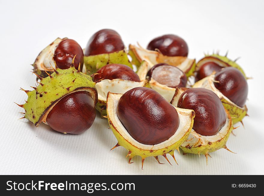 Image of a chestnuts and conkers on white background. Image of a chestnuts and conkers on white background
