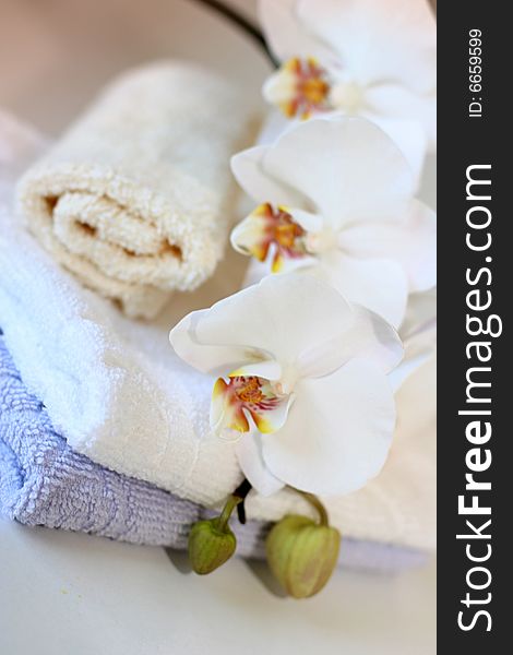 Tender SPA look with orchid in background. Tender SPA look with orchid in background