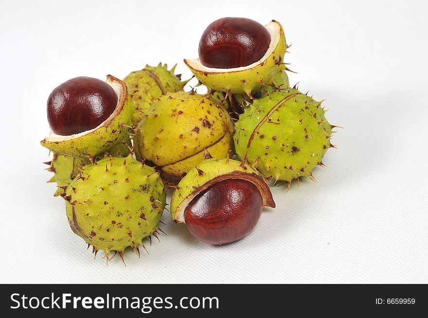 Image of a chestnuts and conkers on white background. Image of a chestnuts and conkers on white background