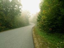Road Leads To Foggy Forest Royalty Free Stock Image Road Leads To Foggy Forest Royalty Free Stock Image