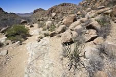 Landscape Of Big Bend Stock Photography Landscape Of Big Bend Stock Photography