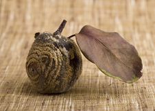 Rotten Apple Stock Image Rotten Apple Stock Image
