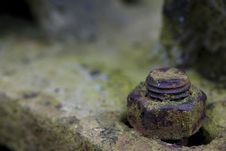 Rusty Screw Royalty Free Stock Images Rusty Screw Royalty Free Stock Images