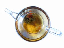 Glass TeaPot With Bloom Tea Stock Image