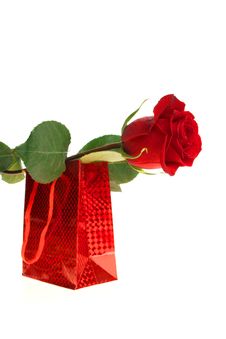 Gift Box And Rose, Isolated Royalty Free Stock Photos Gift Box And Rose, Isolated Royalty Free Stock Photos