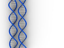 Free DNA Structure Royalty Free Stock Images - 6668389