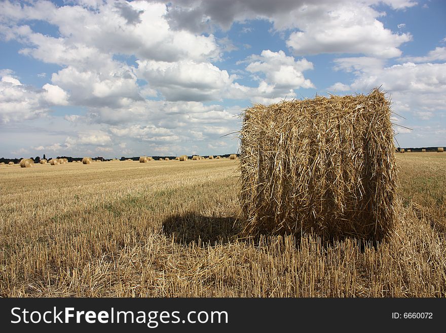 Field with bales of straw