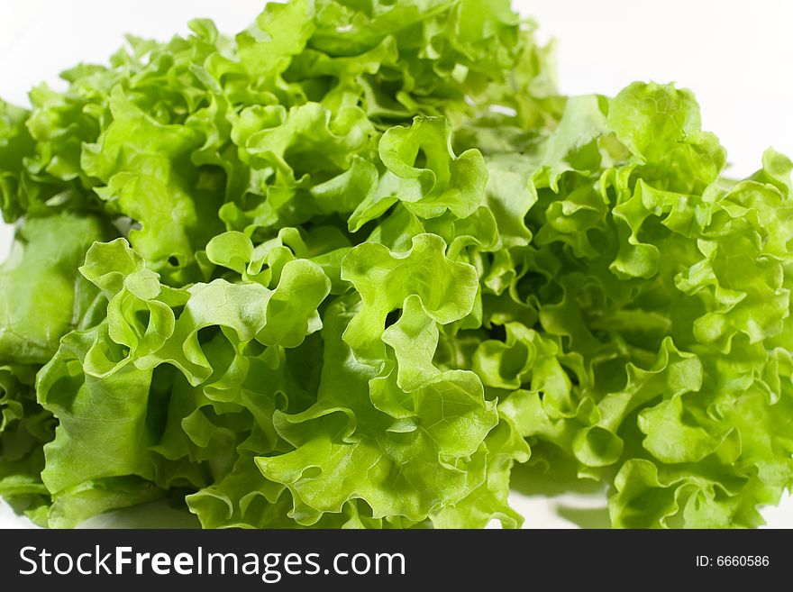 Lettuce leaves (as a background)