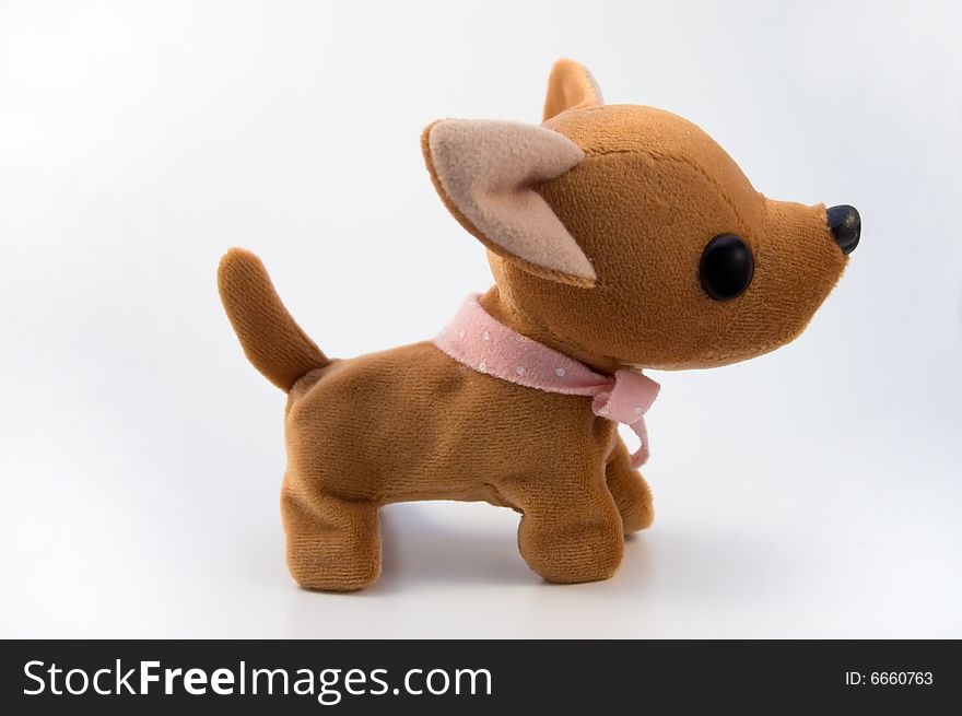 Small brown Soft toy dog on white background