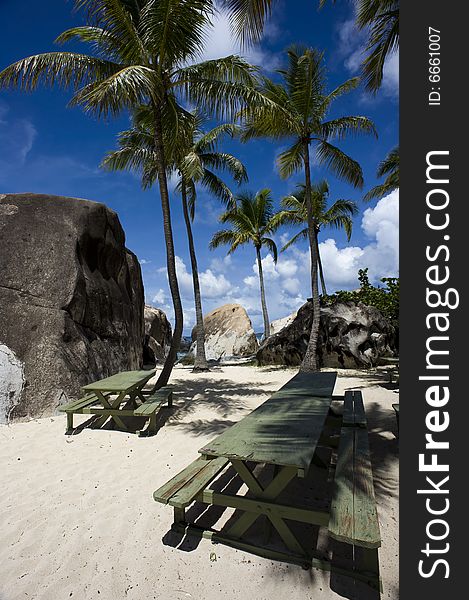 Empty benches on a tropical beach with palm trees. Empty benches on a tropical beach with palm trees