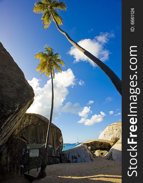 Empty beach scene with palm trees and boulders. Empty beach scene with palm trees and boulders