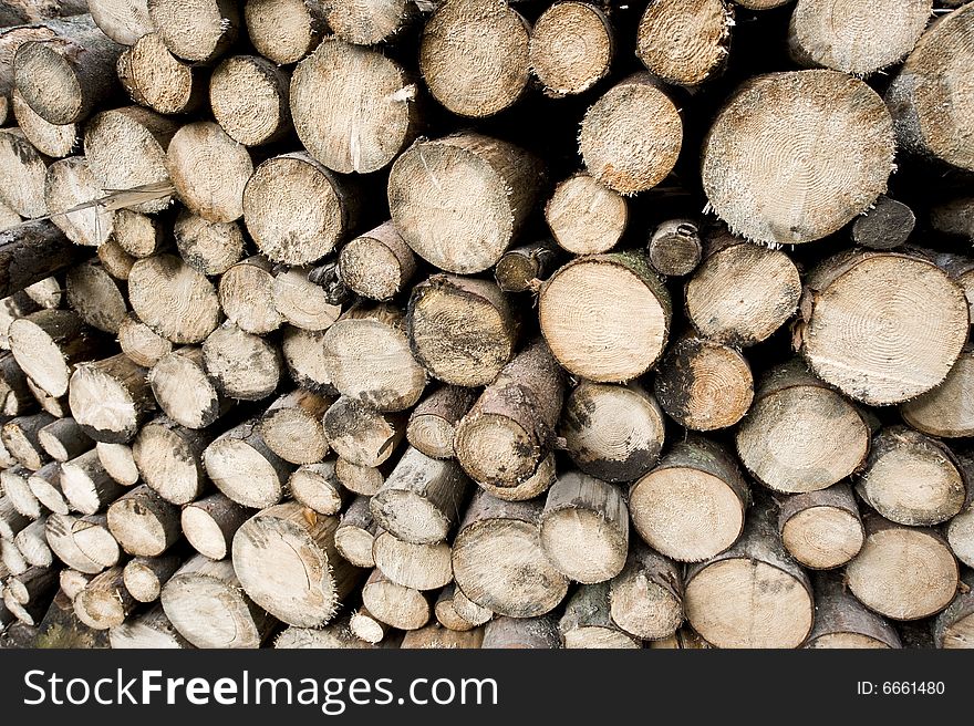 Skew view of many woodpiles in stack. Skew view of many woodpiles in stack
