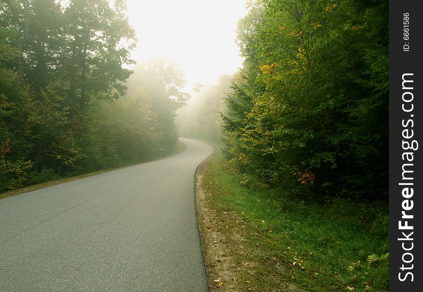 Road leads to foggy fall forest. Road leads to foggy fall forest