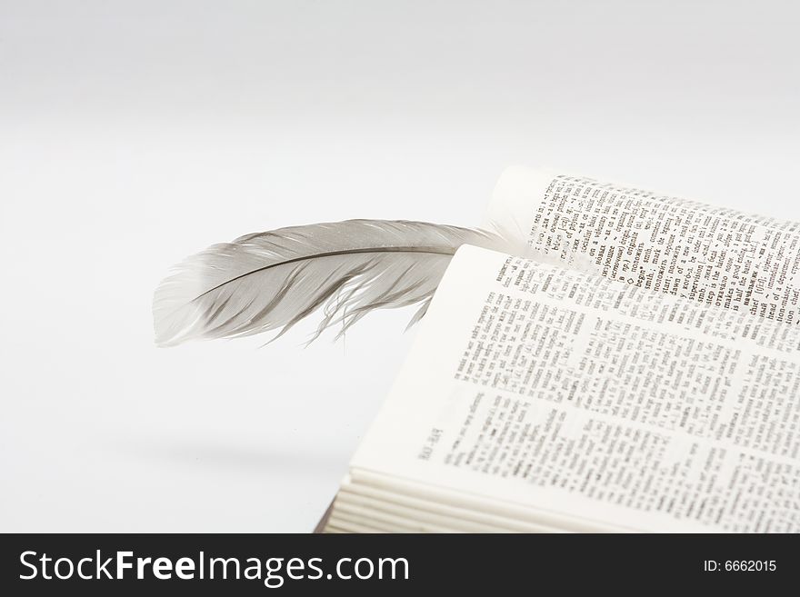 Feather on book on white background