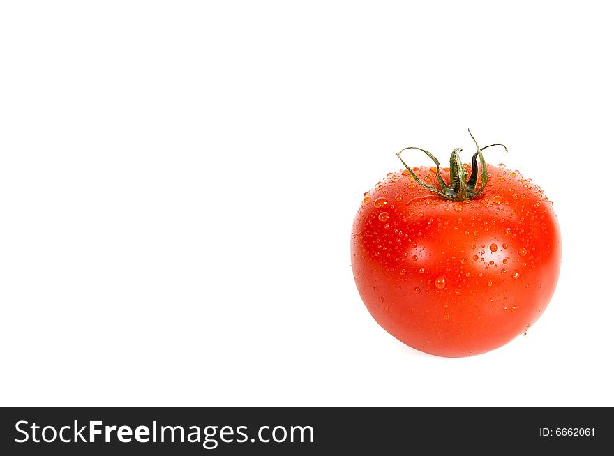 A tomato is in dew and isolated on a white background. A tomato is in dew and isolated on a white background.