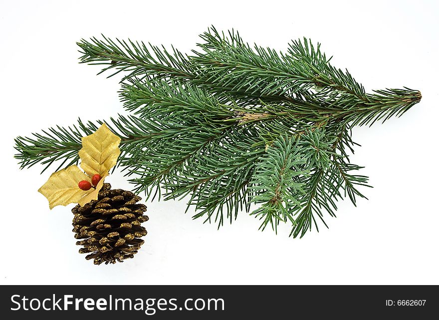 Fir tree brench isolated on white