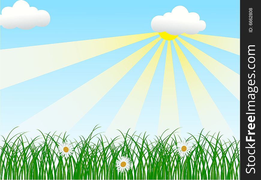 Landscape with grass, flowers and sunny sky. Landscape with grass, flowers and sunny sky.